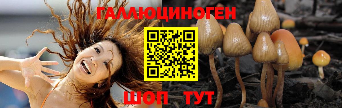 Псилоцибиновые грибы GOLDEN TEACHER Саров
